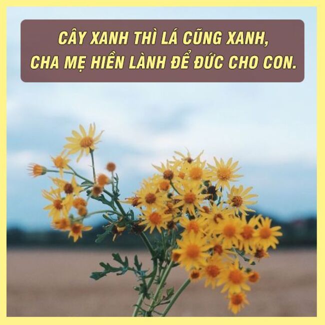 Ca dao tục ngữ về lòng nhân ái