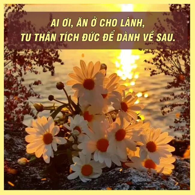Tục ngữ, thành ngữ về lòng nhân ái
