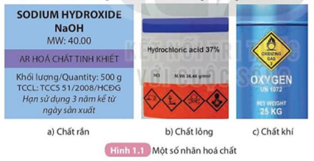 Giáo án Khoa học tự nhiên 8 Kết nối tri thức bài 1