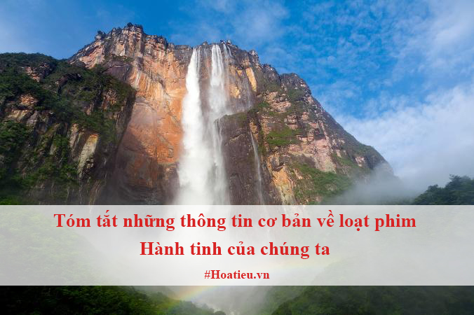 Tóm tắt những thông tin cơ bản về loạt phim Hành tinh của chúng ta được tác giả văn bản cung cấp