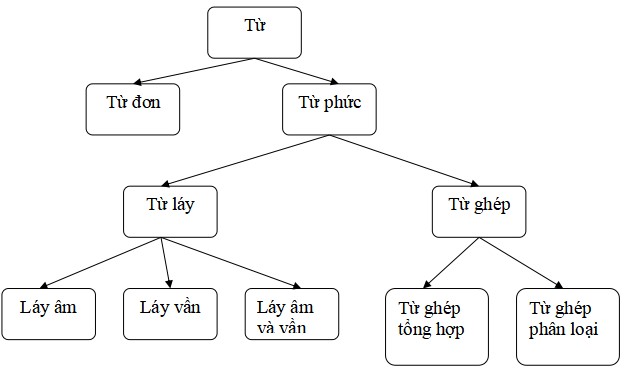 Bài tập ôn hè Tiếng Việt lớp 4 lên 5