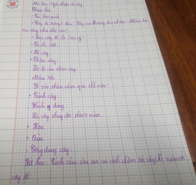Dàn ý chi tiết miêu tả cây ăn quả lớp 4