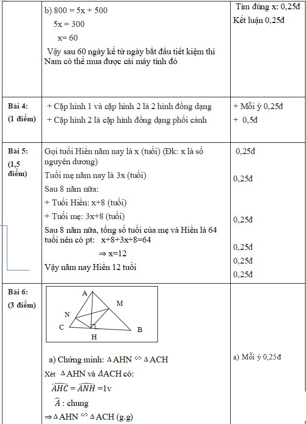 Đề thi học kì 2 môn Toán lớp 8 Chân trời sáng tạo
