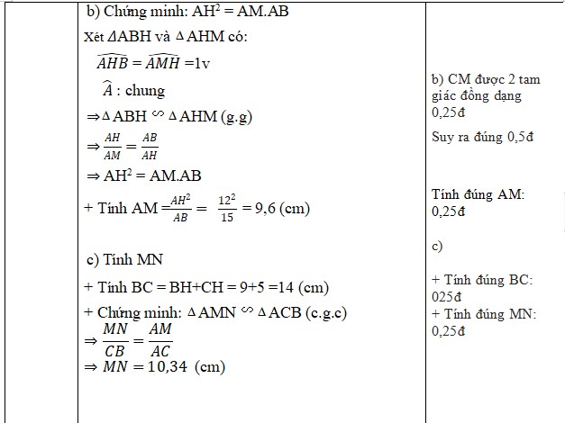 Đề thi học kì 2 môn Toán lớp 8 Chân trời sáng tạo