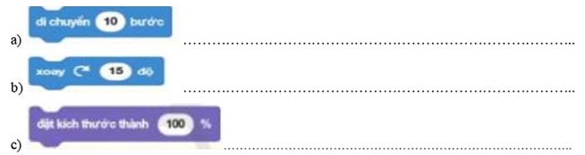 Đề thi Học kì 2 Tin học 4 Cánh Diều