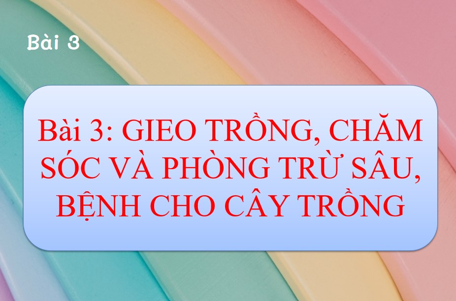 Bài giảng điện tử Công nghệ 7 Kết nối tri thức Bài 3