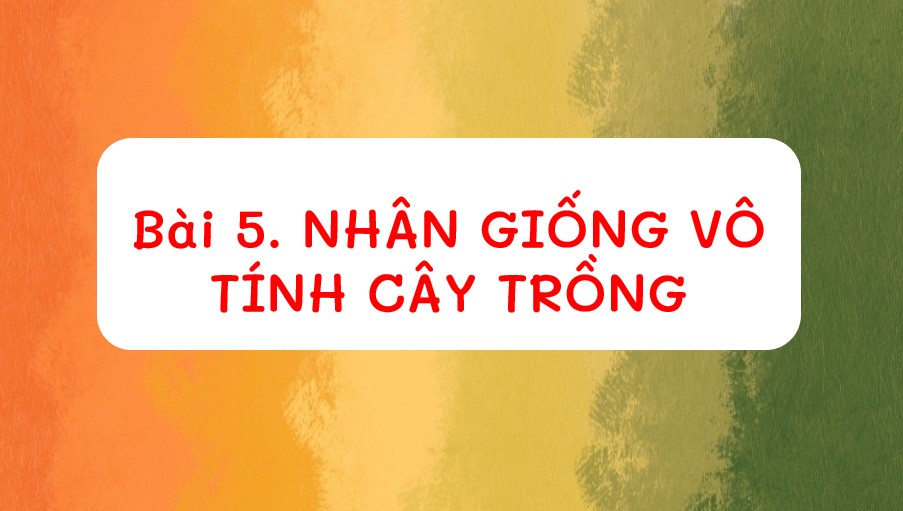 Bài giảng điện tử Công nghệ 7 Kết nối tri thức Bài 5