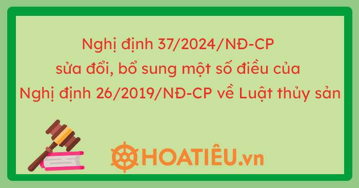 Nghị định 37/2024/NĐ-CP sửa đổi, bổ sung một số điều của Nghị định 26 ...