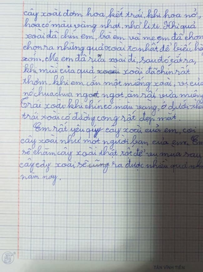  Văn tả cây xoài lớp 4 ngắn gọn