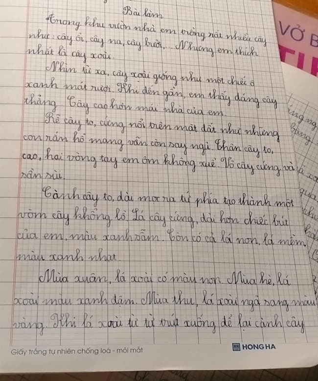 Tả cây xoài lớp 4