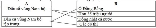 Đề thi Lịch sử - Địa lý lớp 4 học kì 2 Chân trời sáng tạo