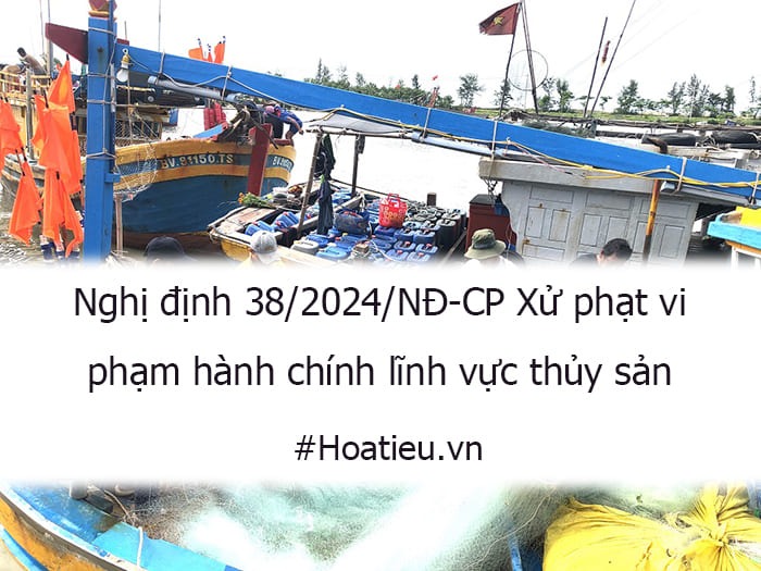 Nghị định 38 2024