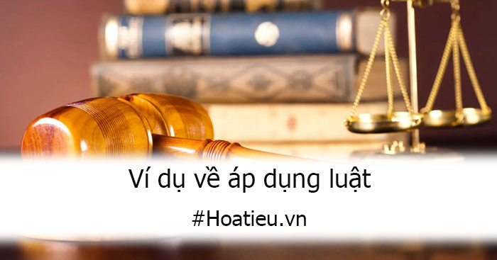 vi-du-ve-ap-dung-luat