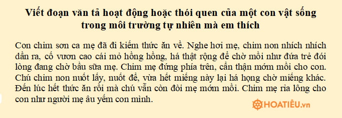 Viết đoạn văn tả hoạt động hoặc thói quen của một con vật sống trong môi trường tự nhiên