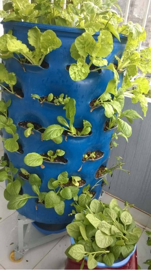 Bài thuyết trình về sản phẩm STEM