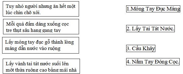 Bộ đề đọc hiểu lớp 4 học kì 2 môn Tiếng Việt