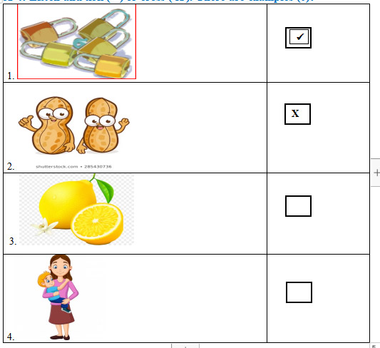 Đề thi Tiếng Anh lớp 1 kì 2 Global Success