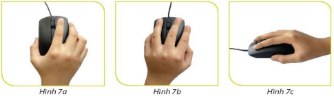 Đề thi Học kì 2 lớp 3 môn Tin học