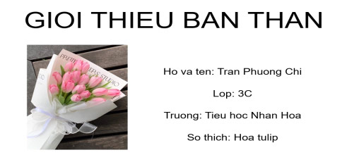 Đề thi Tin học lớp 3 năm 2025