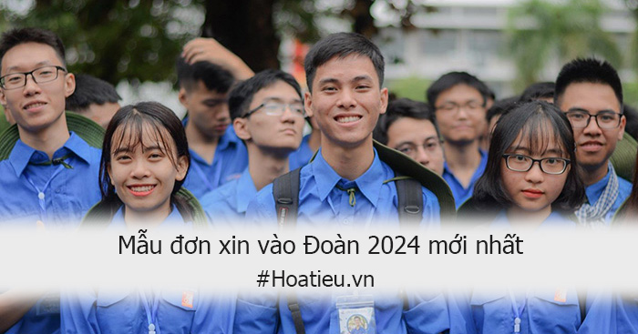 Đơn xin vào Đoàn 2024 và cách viết đơn xin vào Đoàn