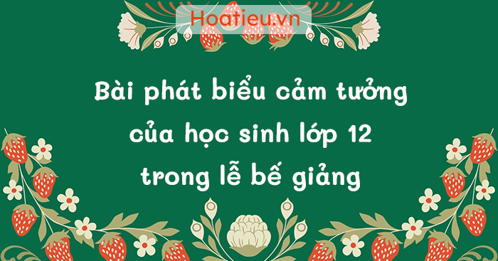 Bài phát biểu của học sinh cuối cấp 3