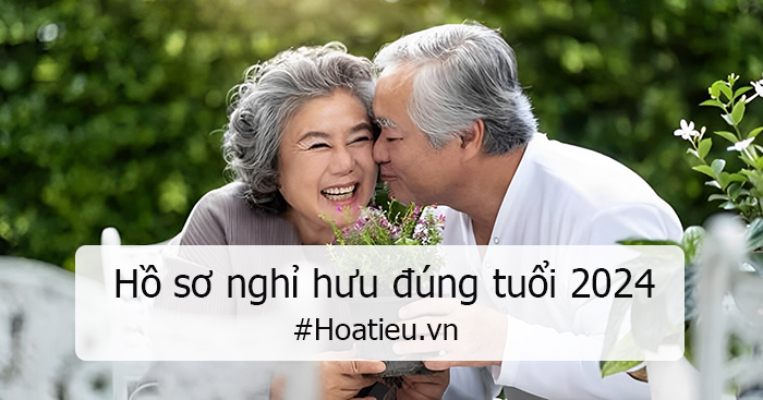 Hồ sơ nghỉ hưu đúng tuổi mới nhất 2024