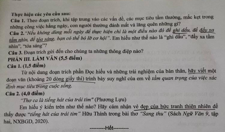 Đề thi Văn chuyên Lê Hồng Phong Nam Định 2024