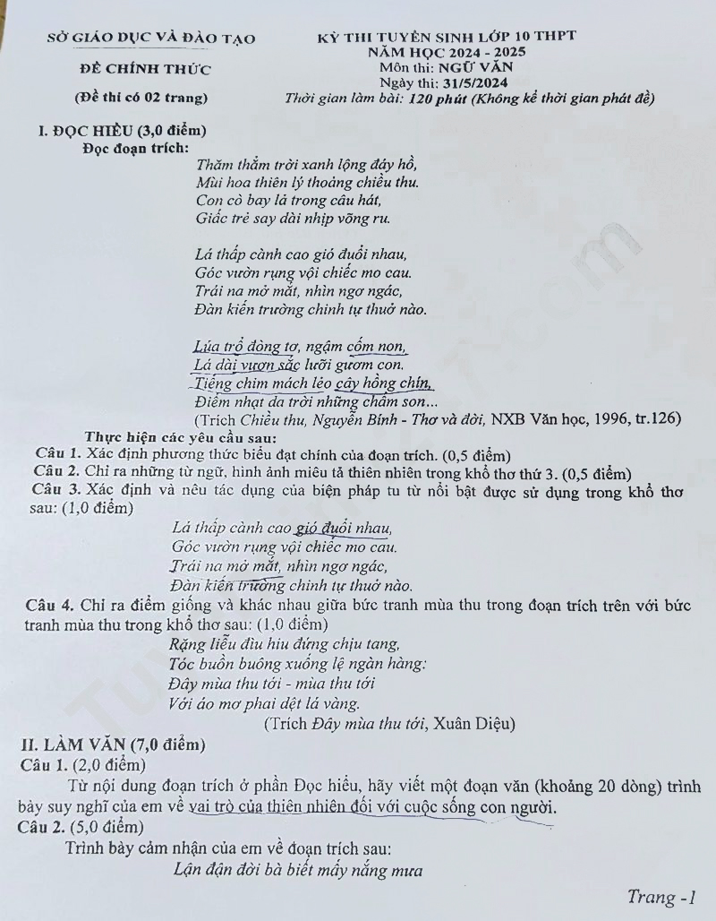 Đề thi tuyển sinh lớp 10 môn Văn Bình Dương 2024