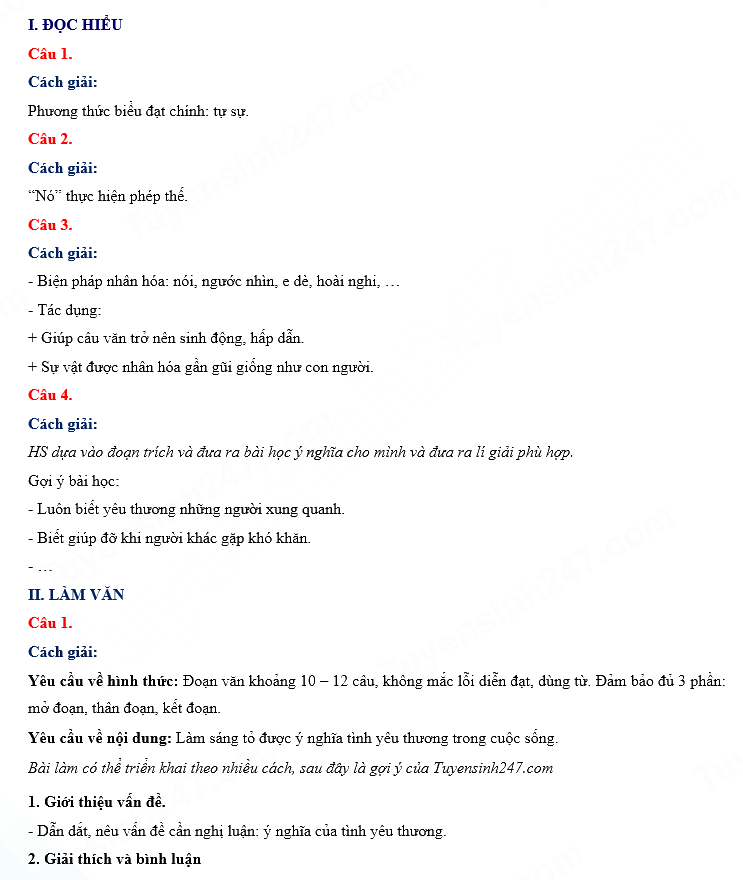 Đáp án đề thi Văn vào 10 Quảng Ninh 2024