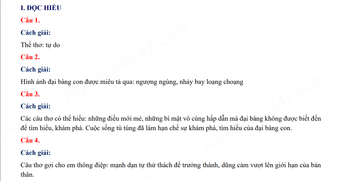 Đáp án đề thi tuyển sinh lớp 10 môn Văn Sơn La 2024-2025