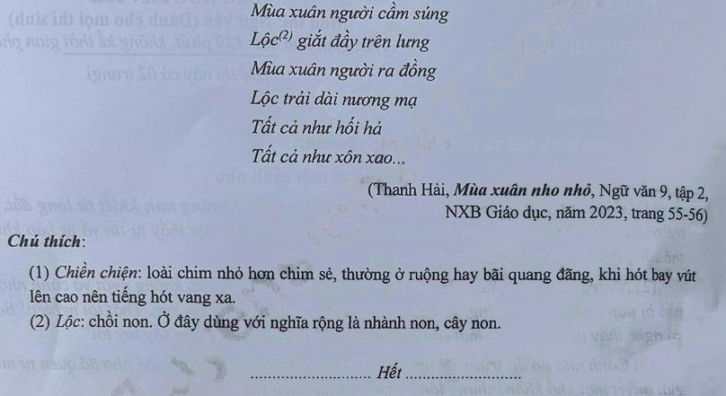 Đề thi tuyển sinh lớp 10 môn Văn Quảng Ninh 2024