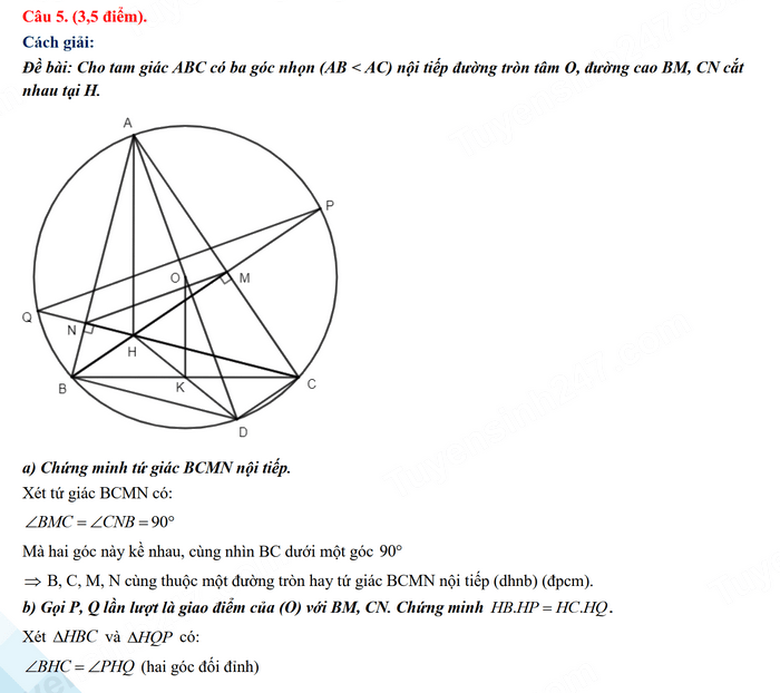 Đáp án môn Toán tuyển sinh lớp 10 Ninh Thuận 2024