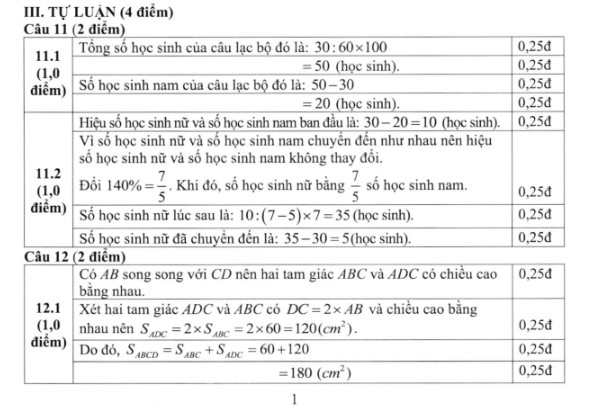 Đáp án đề thi Toán vào lớp 6 trường Nguyễn Tất Thành 2024