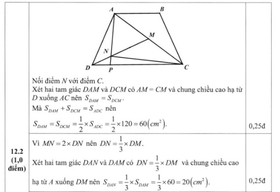 Đáp án đề thi Toán vào lớp 6 trường Nguyễn Tất Thành 2024