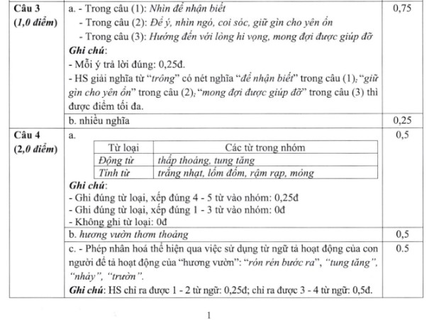Đề thi vào lớp 6 trường THCS&THPT Nguyễn Tất Thành môn Tiếng Việt 2024