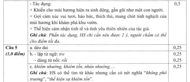 Đề thi vào lớp 6 trường Nguyễn Tất Thành môn Tiếng Việt 2024