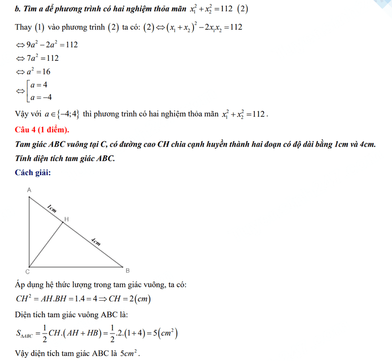 Đáp án đề thi vào 10 môn Toán An Giang 2024