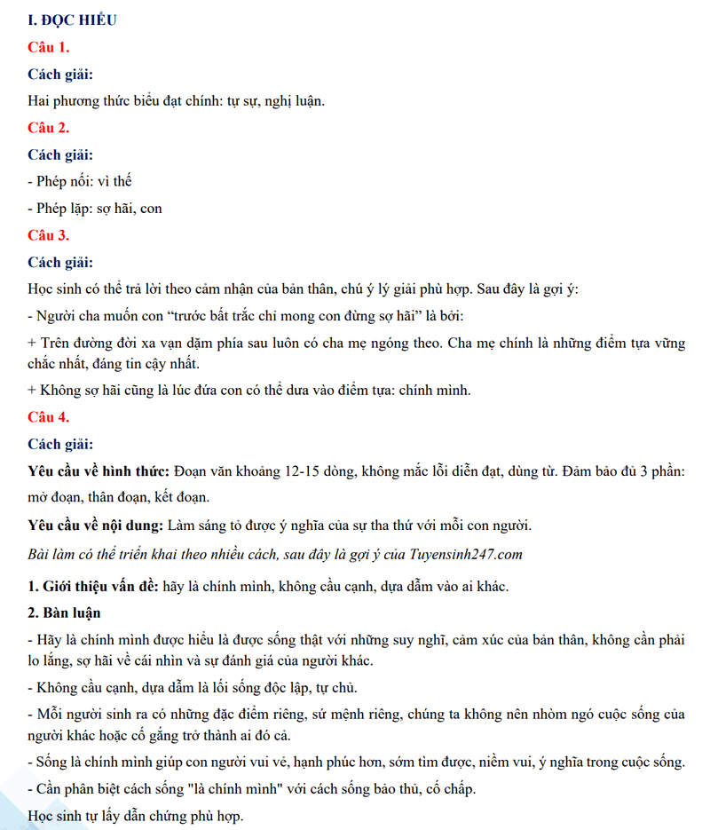 Đáp án đề thi vào 10 Bình Định môn Văn 2024