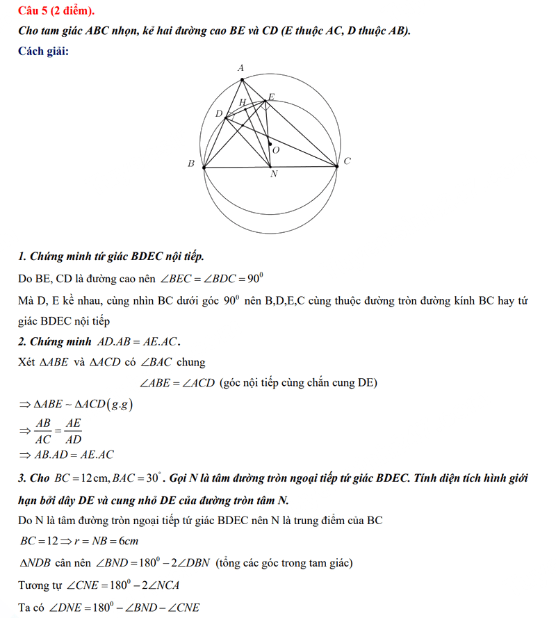 Đáp án đề thi tuyển sinh lớp 10 môn Toán Tiền Giang 2024