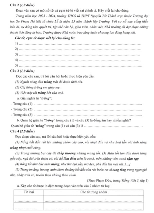  Đề thi Tiếng Việt vào lớp 6 trường Nguyễn Tất Thành năm 2024