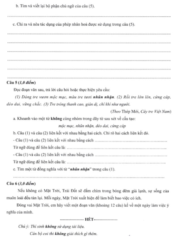 Đề thi vào lớp 6 môn Tiếng Việt trường Nguyễn Tất Thành 2024