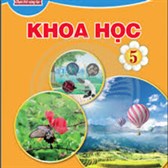 Trọn bộ Giáo án Khoa học 5 Chân trời sáng tạo cả năm (Word)