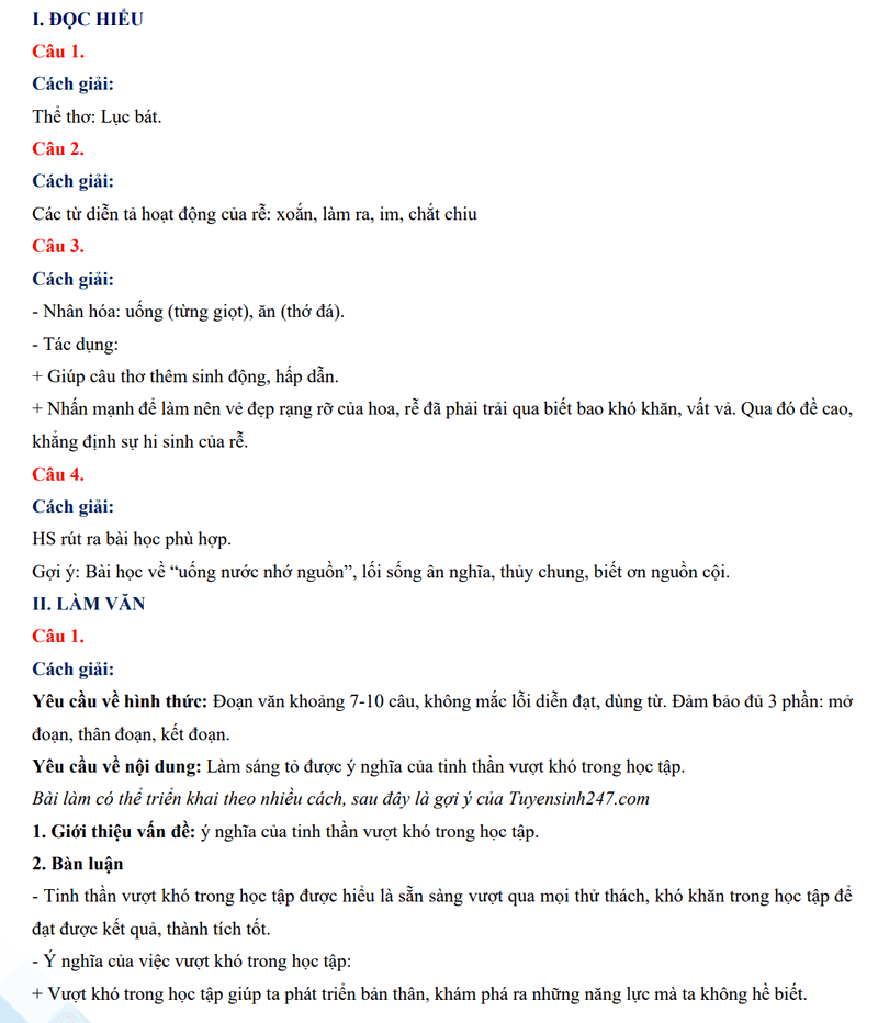 Đáp án đề thi vào 10 môn Văn Quảng Ngãi 2024