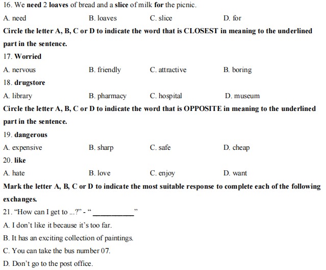 Đề thi Tiếng Anh vào lớp 6 trường Cầu Giấy 2023-2024