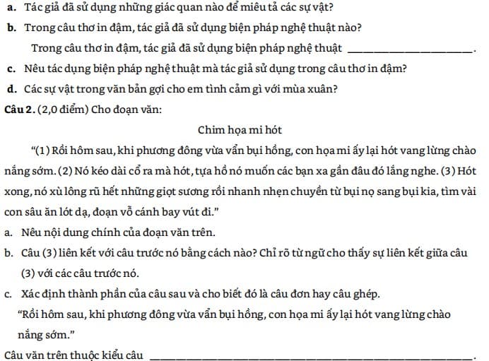 Đề thi Tiếng Việt vào lớp 6 trường Cầu Giấy 2020