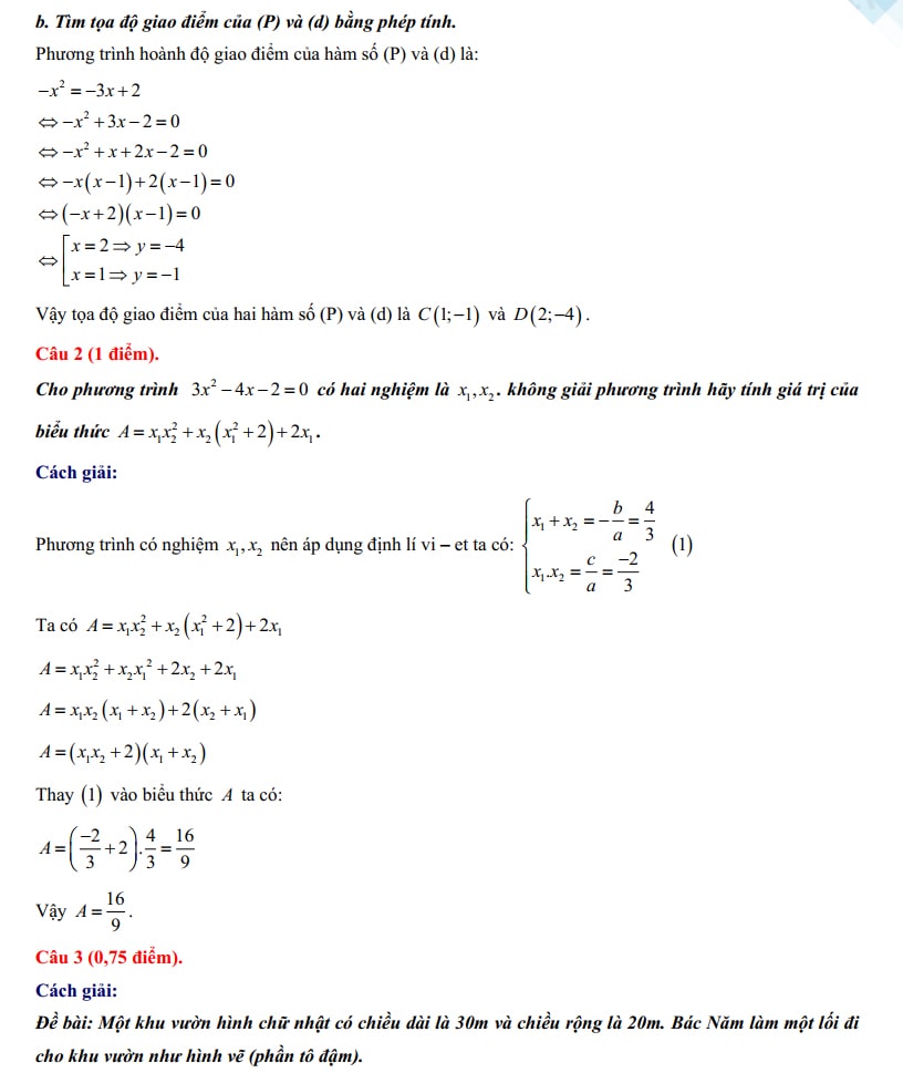 Đáp án đề thi tuyển sinh lớp 10 môn Toán thành phố Hồ Chí Minh 2024