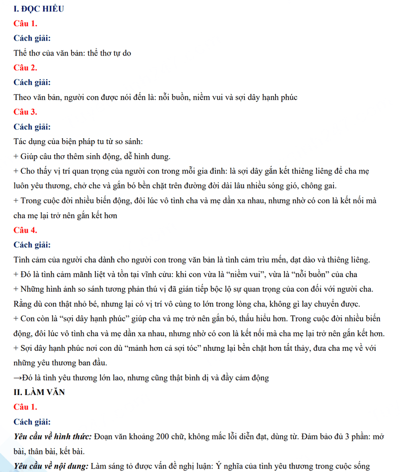 Đáp án đề thi tuyển sinh lớp 10 môn Văn Hậu Giang 2024 2025