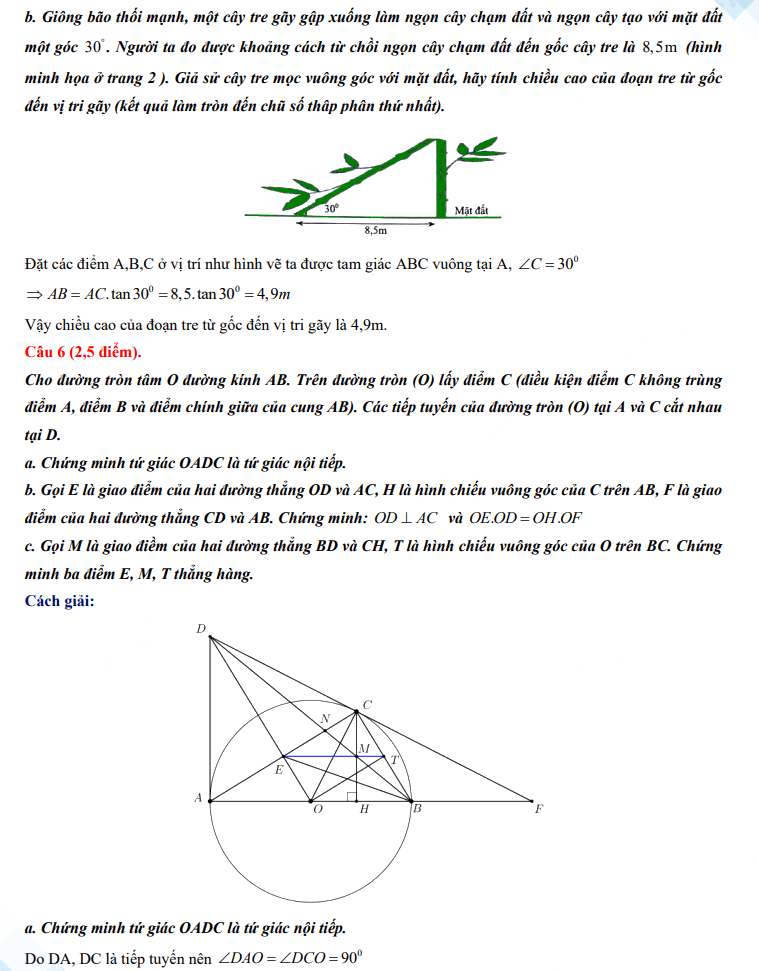 Đề thi tuyển sinh lớp 10 môn Toán Long An 2024