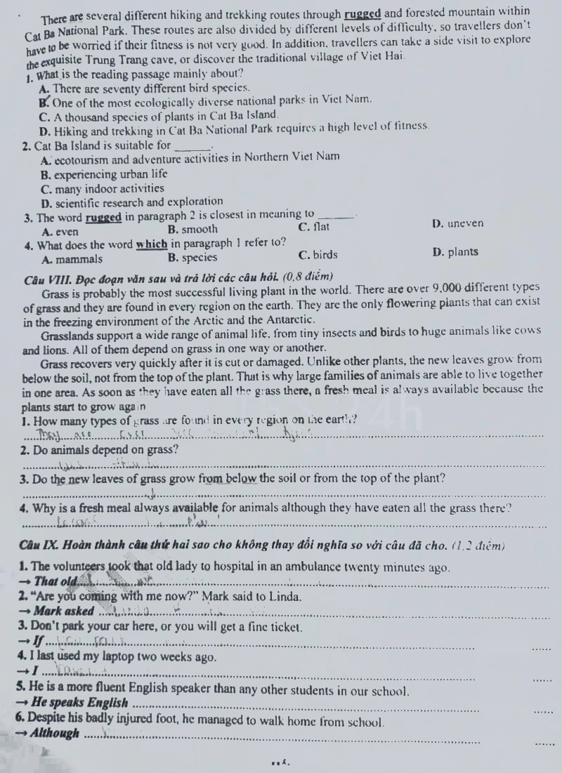 Đề thi tuyển sinh lớp 10 môn Anh Phú Thọ 2024