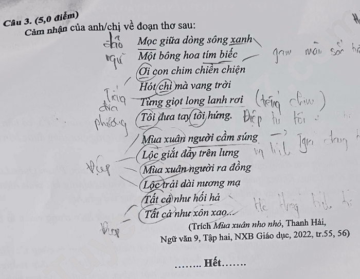 Đề thi tuyển sinh lớp 10 môn Văn Đắk Lắk 2024-2025